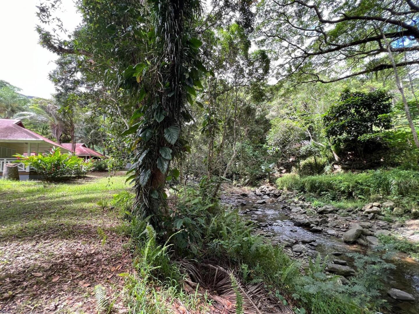 Evasion Bungalow Tropical Spa Sarraméa Εξωτερικό φωτογραφία