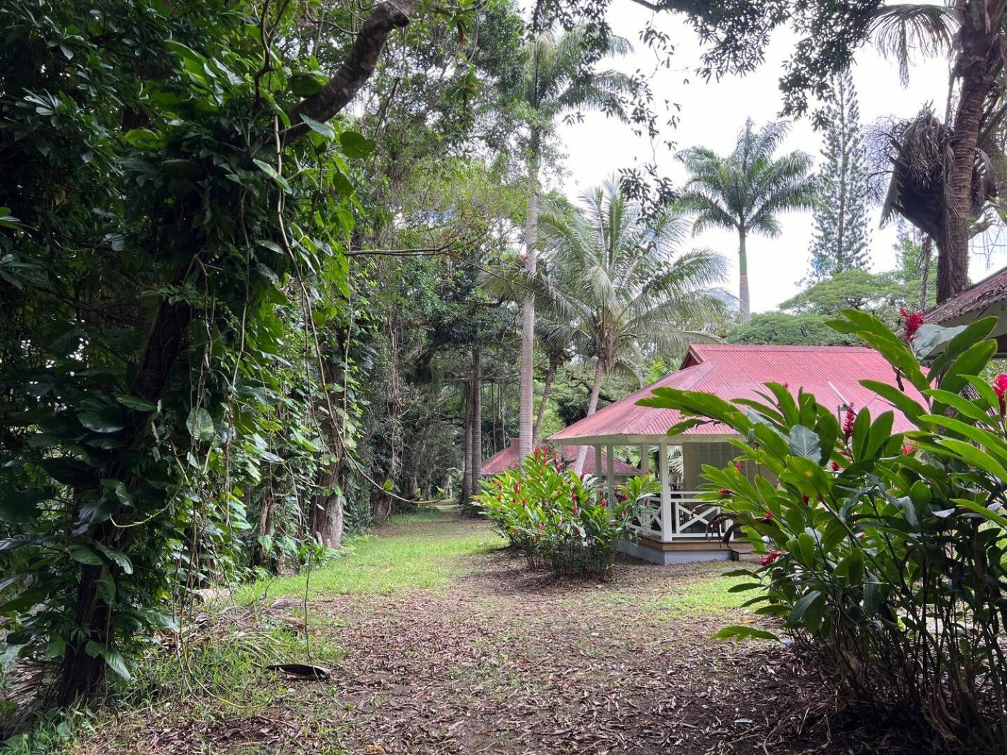Evasion Bungalow Tropical Spa Sarraméa Εξωτερικό φωτογραφία